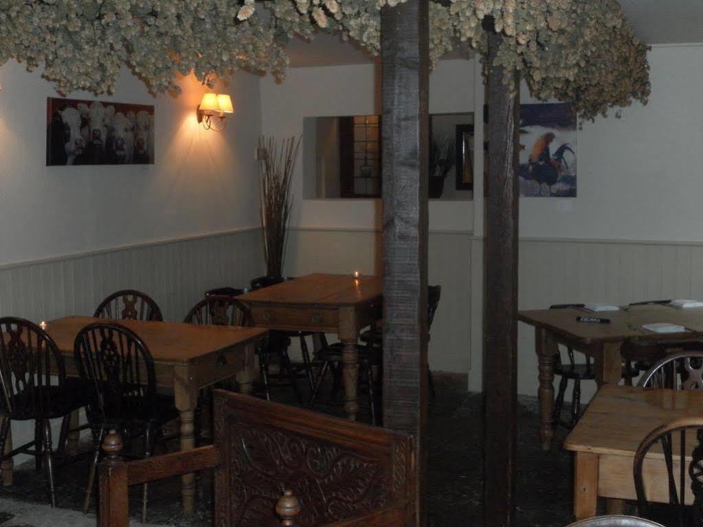The Chetnole Inn Exteriör bild