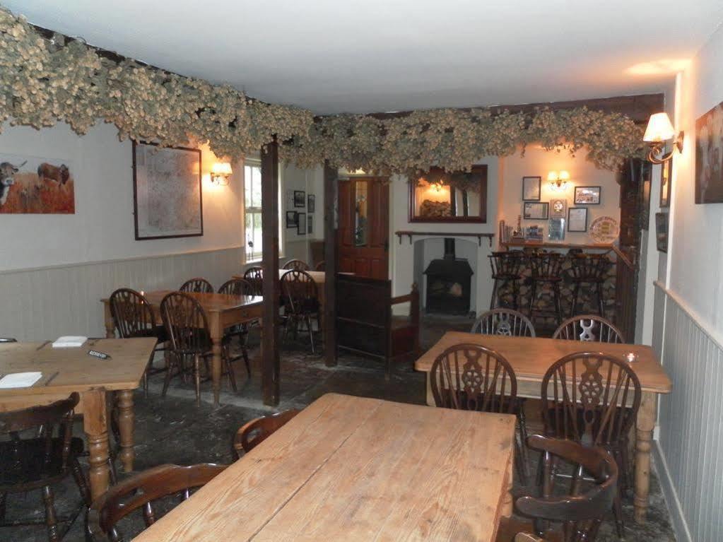 The Chetnole Inn Exteriör bild